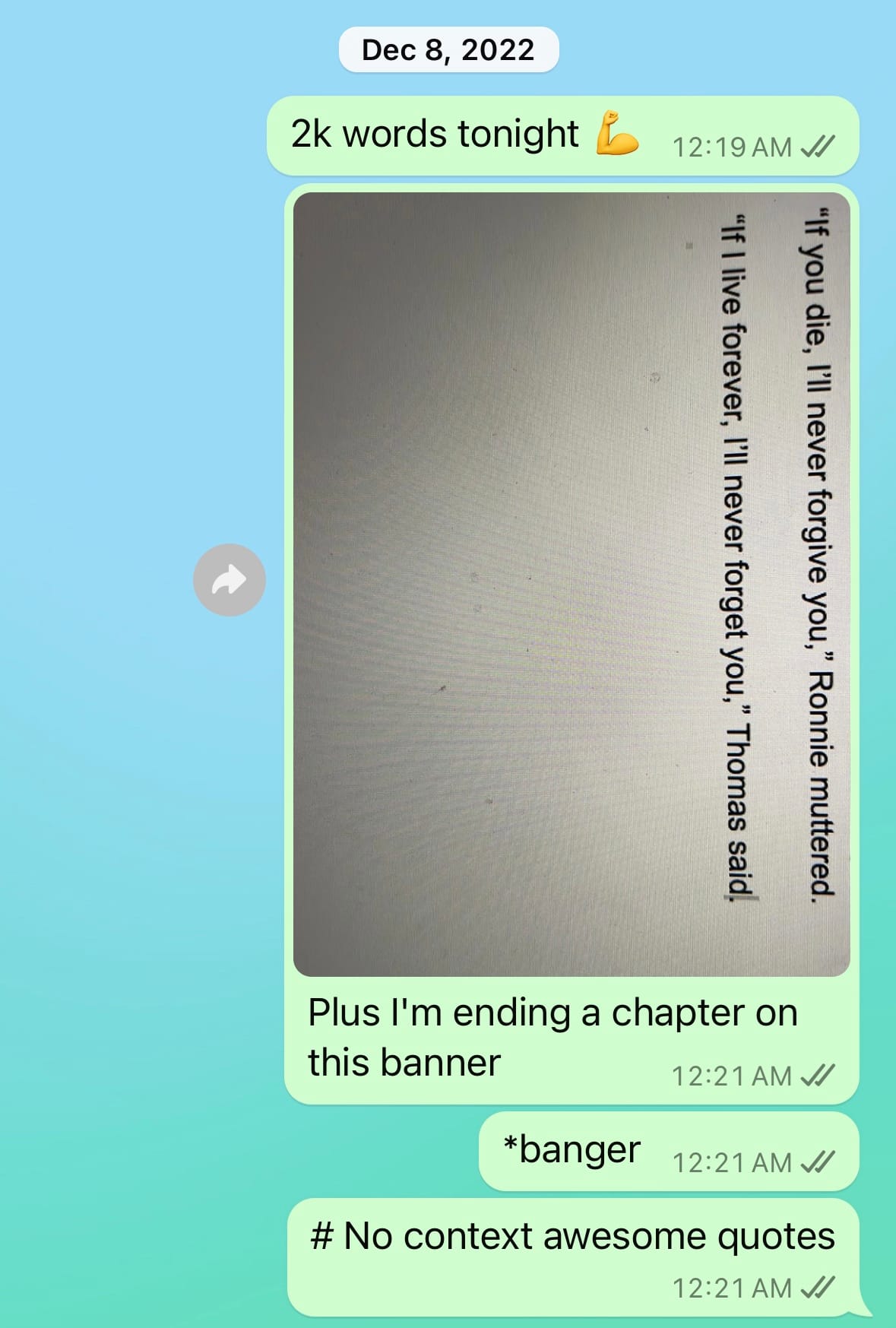 Chat transcript from December 8, 2022: "2k words tonight :muscle:" "Plus I'm ending a chapter on this banner" [picture of last two lines of this chapter] "*banger" "# No context awesome quotes"